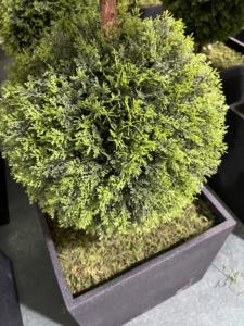 Árboles de Ciprés <span class=keywords><strong>Italiano</strong></span> Artificiales Personalizados, Topiario Falso de Grado Comercial, Plantas Decorativas de Plástico de 180-240 cm para Jardín y Cementerio - Product Image 4