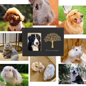 Urna para mascotas Funeral Recuerdo de madera Animal Perro Gato Cenizas Cinerario Ataúd Madera Mascota Cremación Gato Accesorios - Product Image 5