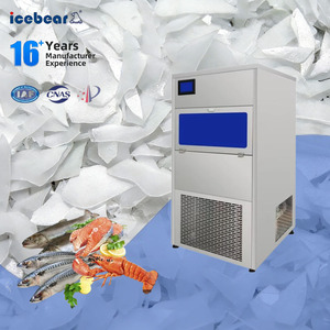 Máquina de Hielo en Escamas de 100 Kg/24 h a Precio de Fábrica para Pesca, Hormigón <span class=keywords><strong>y</strong></span> Panadería con Certificación ISO/CE - Product Image 3