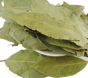 Hoja <span class=keywords><strong>de</strong></span> <span class=keywords><strong>Canela</strong></span> Seca Verde Natural Rou Gui Ye para Especias <span class=keywords><strong>de</strong></span> Barbacoa - Product Image 1