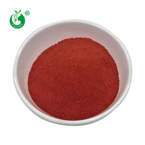 Harga Grosir Bubuk Sayuran Alami Bubuk Tomat Organik - Product Image 3