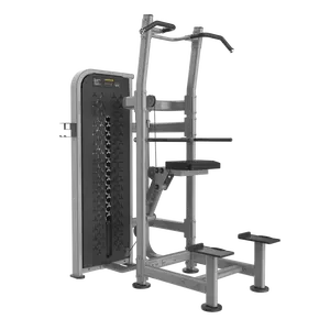 Venta al por mayor de equipos de gimnasio Pin Loaded Selection Machine Assist Dip and Chin Fitness & Body Building