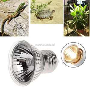 Nuevo producto E27 Turtle Warm Back Bulb 25W 50W 75W UVA UVB <span class=keywords><strong>Reptile</strong></span> Hot Halogen Bulb Warm Lamp Cup Glass Made - Product Image 3