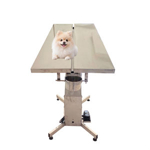 Mesa quirúrgica veterinaria práctica para mascotas, mesa de examen veterinario, instrumento de Cirugía de animales Prime para Hospital de mascotas - Product Image 3