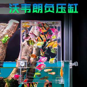 Aangepaste Heldere Acryl <span class=keywords><strong>Aquarium</strong></span> <span class=keywords><strong>Aquarium</strong></span> - Product Image 2