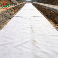 Géotextile non tissé en filament de polyester WSL pour la séparation et le drainage des chaussées d'autoroute, et la prévention des glissements des talus routiers