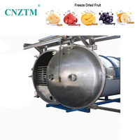 Industriële grote vacuümvriesdroger 200kg 300kg 500kg Vriesdroogmachine voor fruit, groenten en vlees