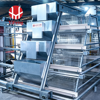 Cage à poules pondeuses automatique de type A, 3 niveaux, en acier galvanisé, avec système d'alimentation et d'abreuvement, collecte d'œufs, courroie de fumier et abreuvoir à tétine, OEM