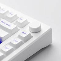 Akko MOD 007B PC Blue White OEM Mechanical Keyboard PBT Keycaps Multi-mode Hot-Swappable RGB Backlit Custom 75% 3600mAh Battery