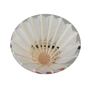 Volant de <span class=keywords><strong>badminton</strong></span> en plumes de canard, volant de <span class=keywords><strong>badminton</strong></span> en plumes de canard, volant de <span class=keywords><strong>badminton</strong></span> en plumes de canard - Product Image 1