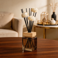 Ensemble de flacons vides pour diffuseur de parfum, aromathérapie, 500 ml, 200 ml, bouchon en bois ambré, anneau argenté