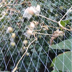 Filet de chasse pour les oiseaux, prix d'usine, pour la chasse, protection, piège à oiseaux - Product Image 4