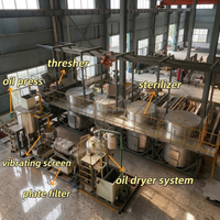 1 TPH Gratis Installatie Palmoliemolen Rode Palmolie Productiemachine Containergebaseerde Installatievrije Palmolie Verwerkingslijn