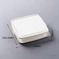 Plateau de repas scolaire jetable, écologique, biodégradable, en bagasse de canne à sucre blanche, 5 compartiments, assiette jetable