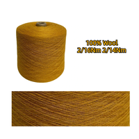 100% Wool Yarn Anti Pilling 2/16Nm New Zealand 100% Wool Fabric Merino Wool Yarn