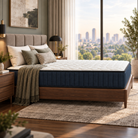 Matelas sous vide de 22 cm avec ressorts ensachés de 20 cm et tissu tricoté pour projets hôteliers, appartements et vente en gros de meubles