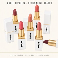 Rouge à lèvres mat anti-transfert, waterproof, longue tenue, haute pigmentation, fini velours, divers tubes, marque privée, vente en gros