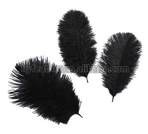 La migliore vendita di trasporto HP-17 Colori Tinti Artificiale all'ingrosso Naturale Della Piuma Dello Struzzo e <span class=keywords><strong>Bianco</strong></span> Della Piuma Dello Struzzo - Product Image 3