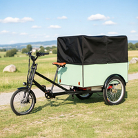 Tricycle électrique cargo à 3 roues pour adultes, 850W-1000W, fourni par l'usine, scooter électrique ouvert à 3 roues