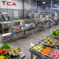 Tca Groentesalade Verwerkingslijn Bevroren Fruit En Groente Machines Lijn Automatische Groentefruitmachines