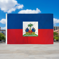 Drapeaux d'Haïti imprimés numériquement en polyester 100% de 3x5 pieds et articles promotionnels pour drapeaux de pays promotionnels en gros
