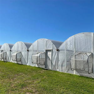 Struttura in acciaio per Tunnel con struttura in acciaio agricolo a cerchio serra 8*30M altezza 3M per la vendita completa del contenitore - Product Image 5