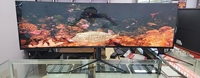 Richshine Écran d'ordinateur Nano-IPS 5K 144Hz courbure R3800 LM490DQ1 Moniteur incurvé 49 pouces