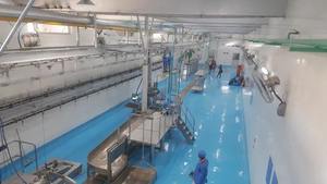 Máquina Procesadora de Carne de Aves de Proveedor Indio para el Procesamiento Higiénico de Pollo en Plantas de Procesamiento de Alimentos Disponible para la Venta - Product Image 5