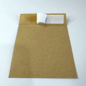 <span class=keywords><strong>Pas</strong></span> <span class=keywords><strong>Cher</strong></span> Vente <span class=keywords><strong>en</strong></span> <span class=keywords><strong>Gros</strong></span> Pcs Classique Brun Kraft Enveloppes Emballage Avec Facile À Déchirer Bande Enveloppes Emballage Personnalisé Petite Mini Graine - Product Image 4
