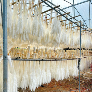 Décoration en herbe de <span class=keywords><strong>pampa</strong></span> séchée naturelle pour mariage style bohème, 15 pièces/sac, <span class=keywords><strong>mini</strong></span> fleurs de <span class=keywords><strong>pampa</strong></span> longue durée - Product Image 6