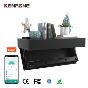 <span class=keywords><strong>Coffre</strong></span>-<span class=keywords><strong>fort</strong></span> mural dissimulé avec éclairage LED pour un accès facile la nuit, idéal pour un stockage sécurisé de objets de valeur, bijoux, documents, actes - Product Image 1