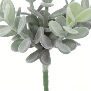 Planta Artificial Suculenta de 7 Cabezas, <span class=keywords><strong>Crassula</strong></span> Pick Blanca, Planta Artificial Flocada, Planta Artificial sin Agua, Decoración para el Hogar - Product Image 2