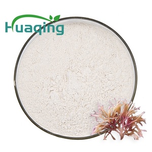 Suministro de fábrica hecho a mano salvaje irlandés musgo de mar en polvo <span class=keywords><strong>Chondrus</strong></span> <span class=keywords><strong>Crispus</strong></span> - Product Image 1