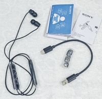 Écouteurs sans fil intra-auriculaires Sony WI-C200, casque stéréo sport