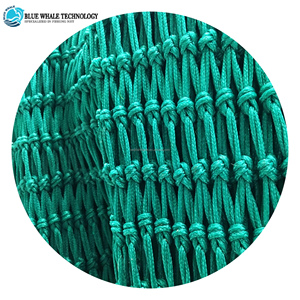 Blue <span class=keywords><strong>Whale</strong></span> Thương Hiệu Twine Rope Nhựa <span class=keywords><strong>Fishing</strong></span> <span class=keywords><strong>Net</strong></span> Với Chất Lượng Ổn Định - Product Image 1