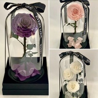 Cadeau pour la Saint-Valentin, rose éternelle naturelle dans un dôme en verre, nouveau design, rose préservée dans un dôme en verre avec 8 roses