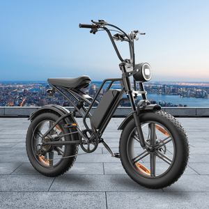 Bicicleta Eléctrica de 20 Pulgadas y 7 Velocidades con Pantalla LCD para Adultos, Tres Marchas Ajustables, Frenos de Disco, Modelo E500, Cuadro de Acero de Alto Carbono, Precio al por Mayor - Product Image 4