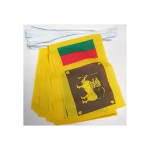 Manufacturer Direct Supply Rectangle Sri Lankan Polyester Bunting String Flag of Sri Lanka Banner For Country Events