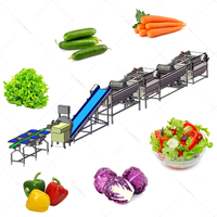 Hoogrenderende Industriële Fruit-En Groentesnijmachine Voor Verwerking En Verpakkingslijn Voor Het Wassen Van Groenten