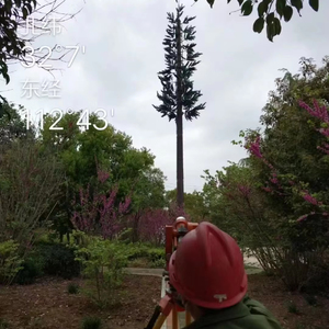 GSM cọ tháp cây chi nhánh lá cho viễn thông Cọ che giấu Viễn Thông-Cọ-Cây-tháp - Product Image 1