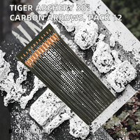 Flèches en carbone TIGER ARCHERY de 30 pouces pour la pratique et la chasse, plumes en plastique, pointes amovibles, arcs à poulies et arcs classiques (lot de 12) Modèle