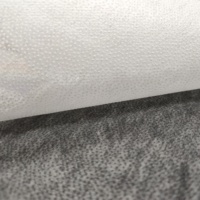 Colle à points uniques Revêtement PES Non tissé Entoilage
