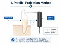 Appareil de radiographie dentaire vétérinaire portable Dawei, système numérique DR pour chiens et chats