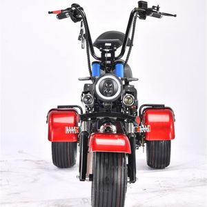 電動スクーター2025 CE EEC承認2輪大人用Citycocoレトロ電動オートバイ超高速オートバイ