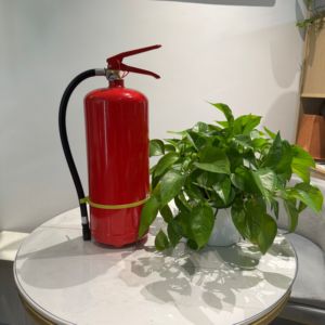 Extintor de Incendios Portátil de 6 kg MFZ/ABC5, Grado Industrial, Categoría A, Acero Rojo, Tiempo de Descarga >60s, Carl - Product Image 5