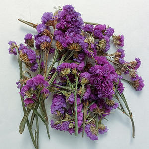 Las cabezas de flores secas naturales <span class=keywords><strong>no</strong></span> me olvides Capullos de flores <span class=keywords><strong>no</strong></span> me olvides <span class=keywords><strong>para</strong></span> flores decorativas artesanales DIY - Product Image 4