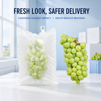 Sac anti-dommages pour raisins, sans perforation, résistant aux chocs, manchon gonflable robuste entièrement gonflé pour la protection des fruits à l'exportation