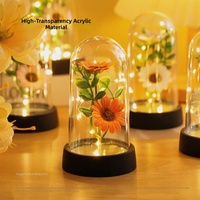 Cadeau de la Saint-Valentin, fête des mères, lumière LED, feuille d'or 24 carats, roses en cristal, galaxie, artisanat, écologique, cylindre transparent