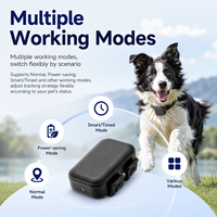 Traceur GPS pour animaux de compagnie étanche 4G avec positionnement BeiDou BT WiFi et affichage LED, suivi GPS haute précision