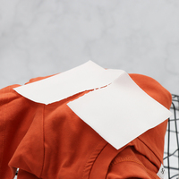 Vente en gros de feuilles de détergent de lessive au parfum de lavande personnalisées 30 feuilles de papier pour lessive